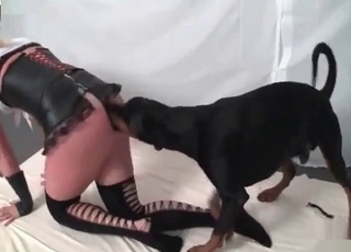 Passionate black doggy enjoys her cunt