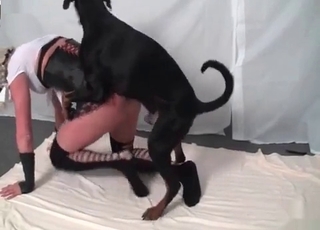 Passionate black doggy enjoys her cunt