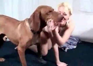 Brown doggy fucking her wet tight crack