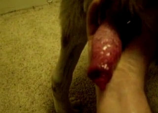Cutie is playing with a meaty dog dick
