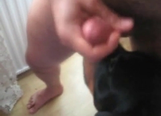Dude jerks off his dick on a small pet