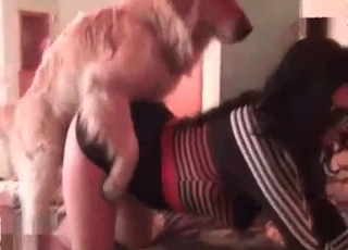 Dog penetrated my sweet chick from behind