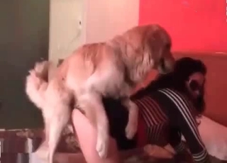 Dog penetrated my sweet chick from behind