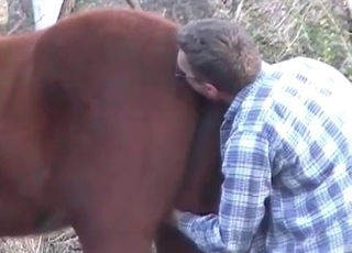 Good stallion fucked hard in doggy style