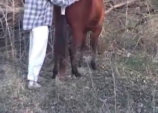 Good stallion fucked hard in doggy style