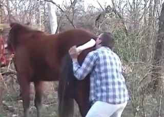 Good stallion fucked hard in doggy style
