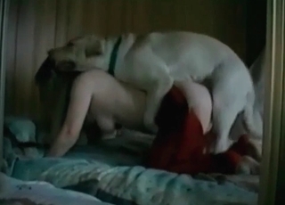 White doggy fucking my wife from behind