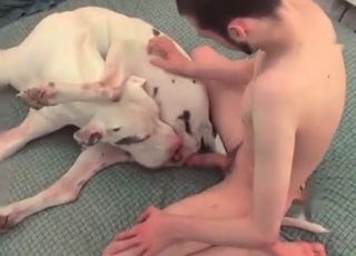 Screwing big white doggy on the soft couch