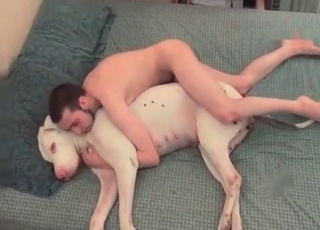 Screwing big white doggy on the soft couch