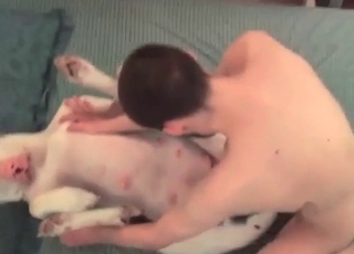 Screwing big white doggy on the soft couch