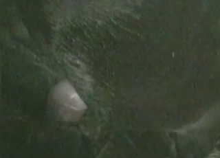 Fucking my amazing stallion in doggy style pose