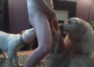 Doggies and naked man in bestiality XXX
