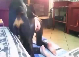 Truly hot doggy is enjoying bestiality XXX
