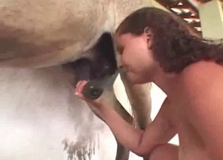 Awesome animal and hot stallion having sex