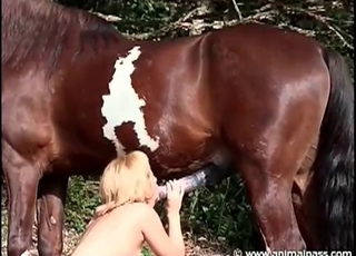 Amazing lady sucking a tasty big stallion