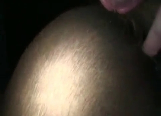 Fucking brown anus of a sweet animal