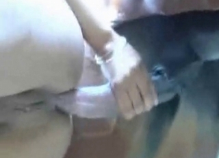 Amazing anal bestiality with a hot stallion
