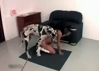 Dalmatian fucking my slender wife on cam