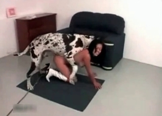Dalmatian fucking my slender wife on cam