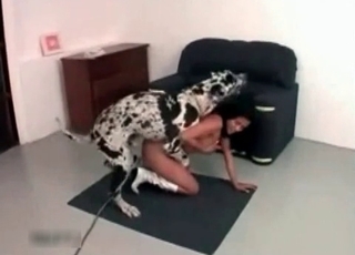 Dalmatian fucking my slender wife on cam