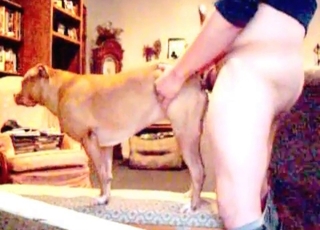 Fat zoofil fucked his trained doggy