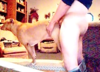 Fat zoofil fucked his trained doggy