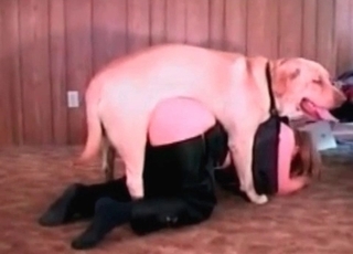 Playful chick kisses her lovely good boy