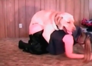Playful chick kisses her lovely good boy