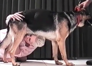 Sexy trained shepherd in amazing bestiality