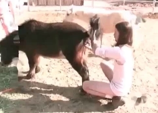 Mare in awesome bestiality with farmer
