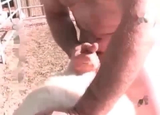 Mare in awesome bestiality with farmer