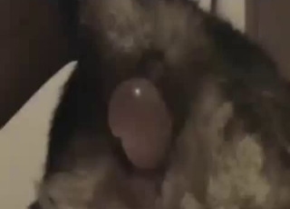 Watch me playing with my sexy naked doggy