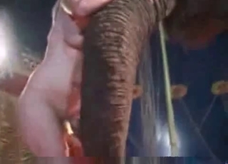 Busty naked goddess and a big elephant