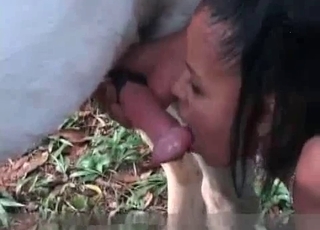 Ebony is sucking a very huge horse dick