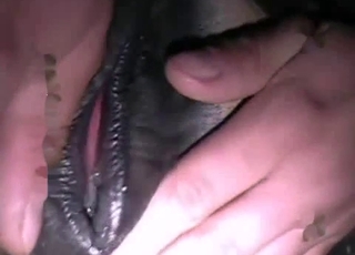 Stunningly sweet amateur animal sex action