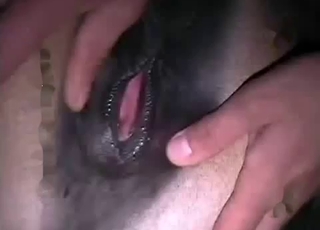 Stunningly sweet amateur animal sex action