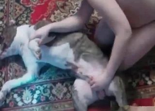 Crazy bestial sex action with amazing animal