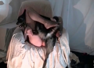 Beauty busty babe opens her crack for dog