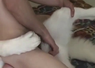 Beautiful doggy in perfect amateur animal porn