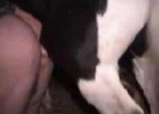 Pony fucking her big ass in the night