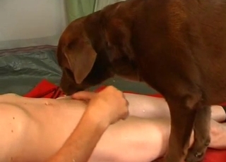 Hardcore amateur dog sex action with male