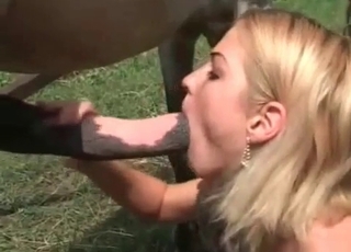 Slender blonde opens her crack for stallion