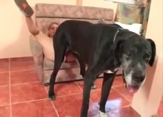 Slender blonde opens her crack for stallion
