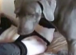 Gorgeous busty chick and amazing doggy