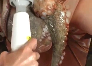 Sweet octopus is trying her Asian tits