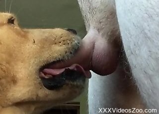 Dog enjoying her big, juicy ass << Zoo Porn